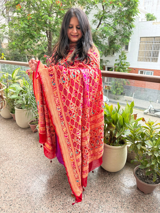 Purple and red purple ombré shade Handwoven Bareek Bandhani Meena kari Jaal in Premium Georgette kurta Set