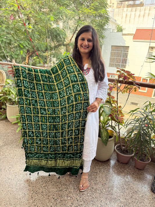 GREEN HANDWOVEN HANDCRAFTED GAJJI SILK GHARCHOLA DUPATTA GGD-2