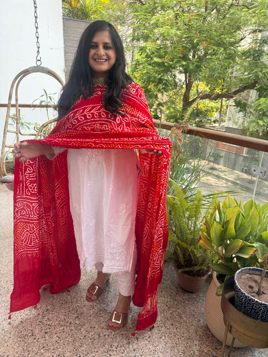 RED HANDWOVEN HANDCRAFTED GAJJI SILK CHANDMUKHI DUPATTA
