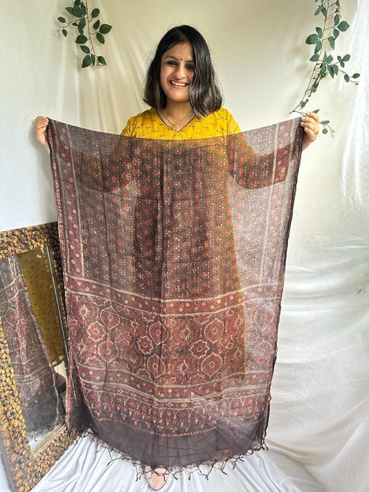 CHIKOO BROWN KOTA AJRAK HANDCRAFTED DUPATTA